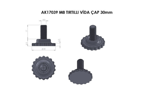 AK17039 M8 Tırtıllı Vida - Görsel 2